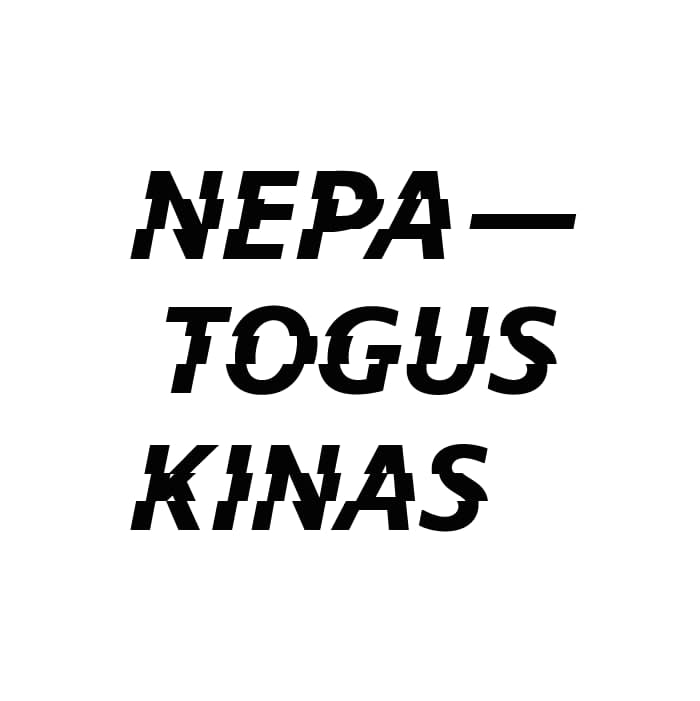 Nepatogus kinas